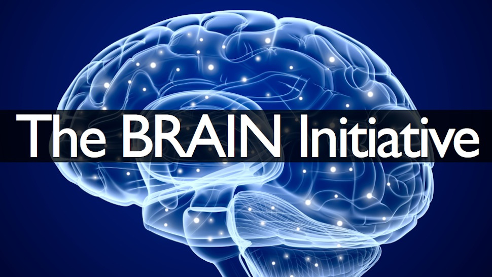 The Brain Initiative