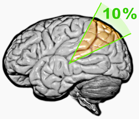 10% Brain Myth