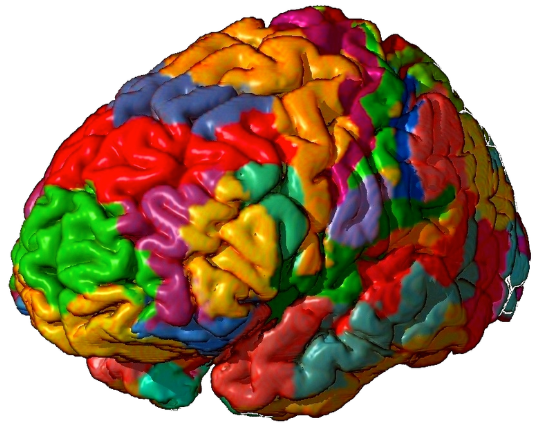 Brain Topography